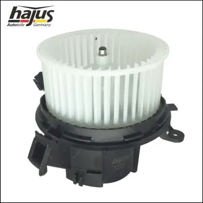 Interior Blower