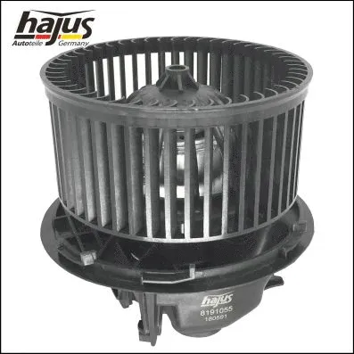 Interior Blower