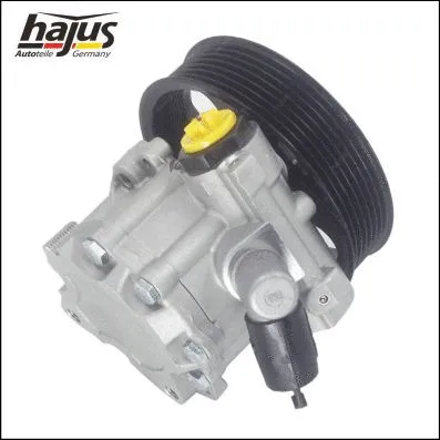 Hydraulic Pump, steering (4221035)