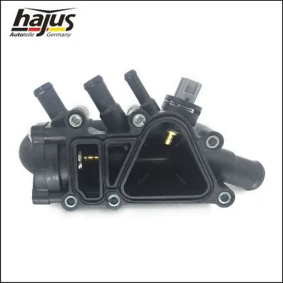 Thermostat, coolant (1211199)