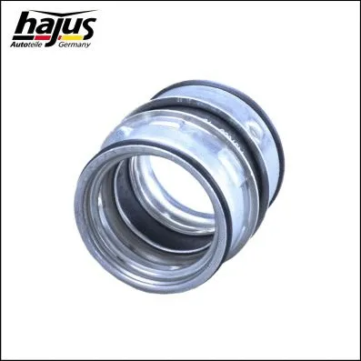 Charge Air Hose (1451085)