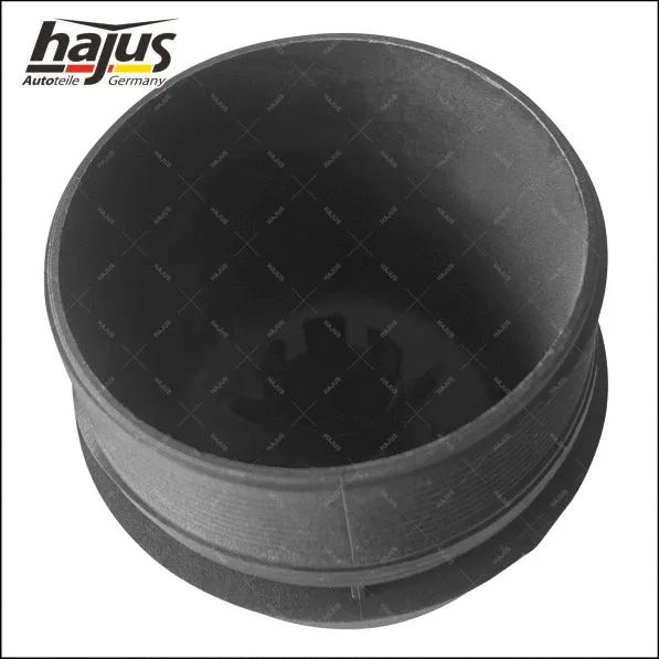 Cap, oil filter housing