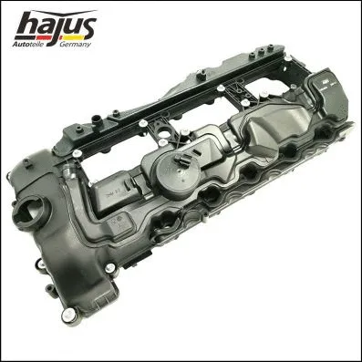 Cylinder Head Cover (1031005)