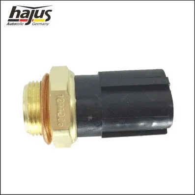 Temperature Switch, radiator fan (1211205)