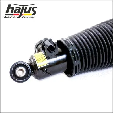 Air Suspension Strut
