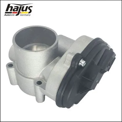 Throttle Body (1311061)