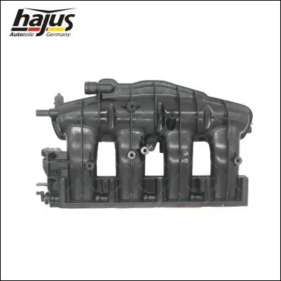 Intake Manifold Module