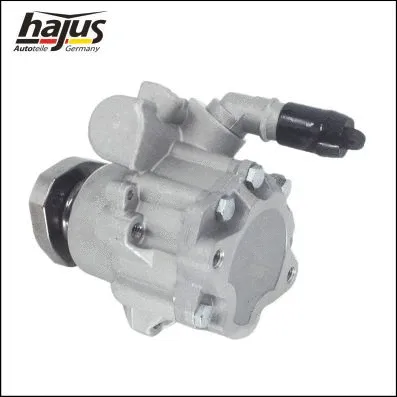 Hydraulic Pump, steering (4221016)