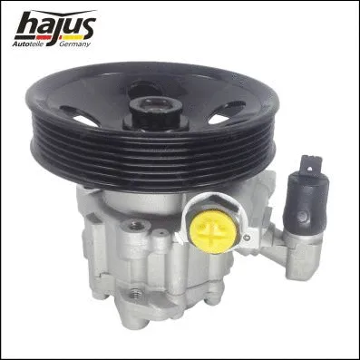 Hydraulic Pump, steering (4221028)