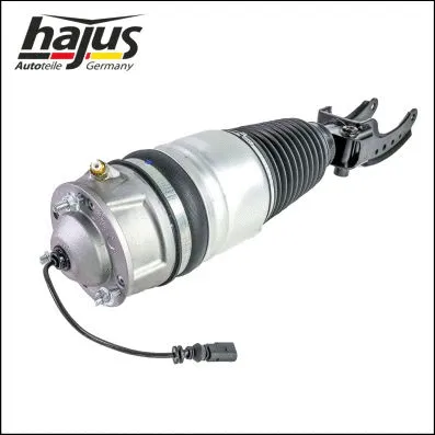 Air Suspension Strut (4121109)