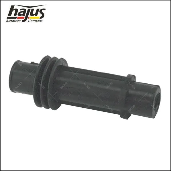 Plug, spark plug