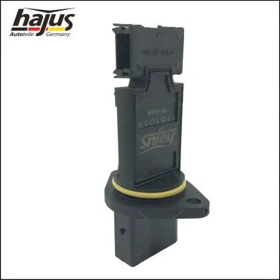 Mass Air Flow Sensor