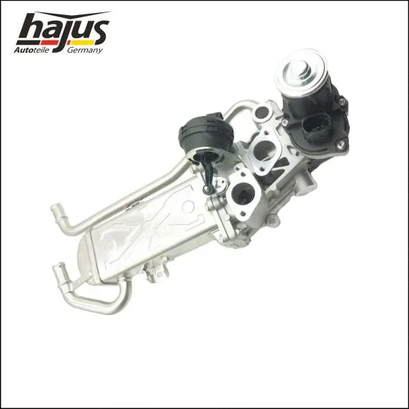 EGR Module