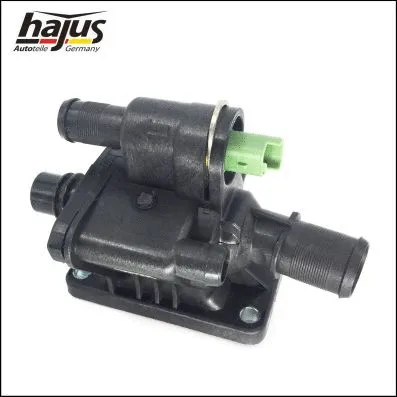 Thermostat, coolant (1211190)