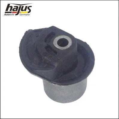 Bushing, axle beam (4071024)