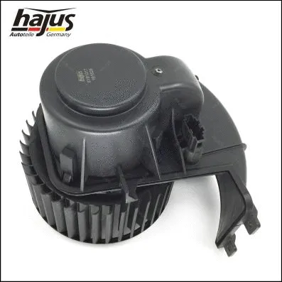 Interior Blower
