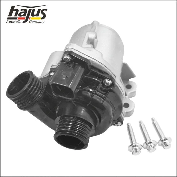 Auxiliary Water Pump (heating water circuit) (1211476)