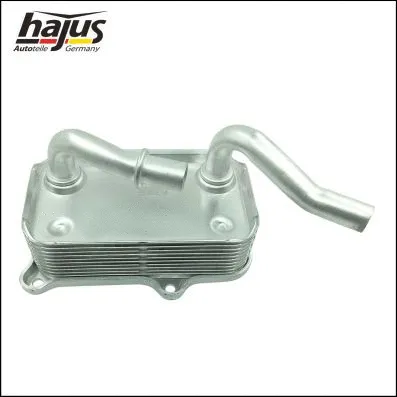 Oil Cooler, engine oil (1211101)