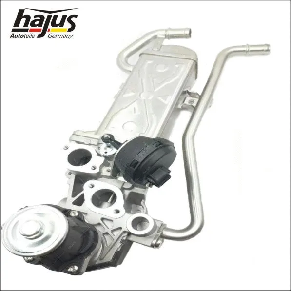 EGR Module