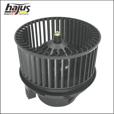 Interior Blower