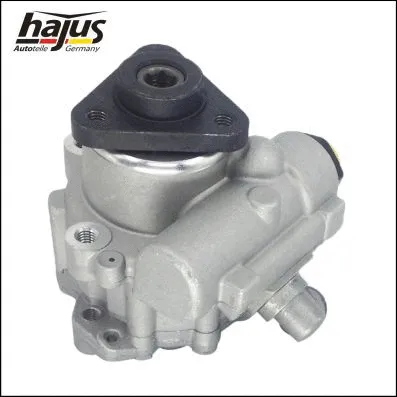 Hydraulic Pump, steering (4221039)
