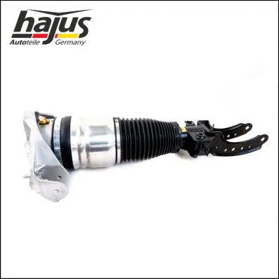 Air Suspension Strut (4121103)
