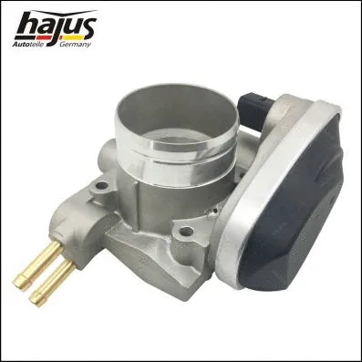 Throttle Body (1311089)