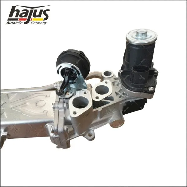 EGR Module