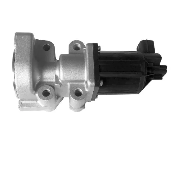EGR Valve (OP980419)