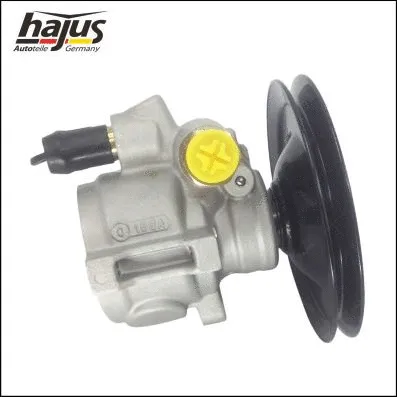 Hydraulic Pump, steering (4221044)