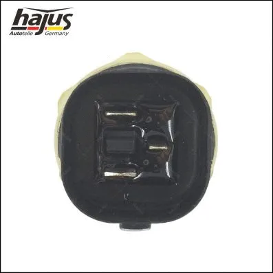 Temperature Switch, radiator fan