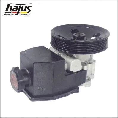Hydraulic Pump, steering (4221026)