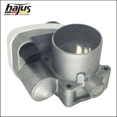 Throttle Body (1311056)