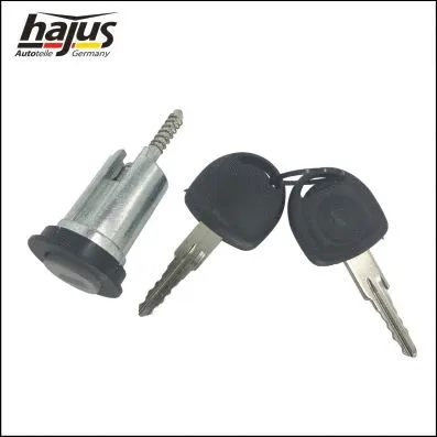 Lock Cylinder, ignition lock (9191072)