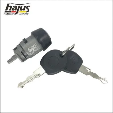 Lock Cylinder, ignition lock (9191073)