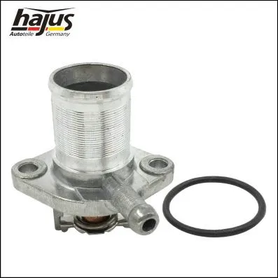 Thermostat, coolant (1211312)