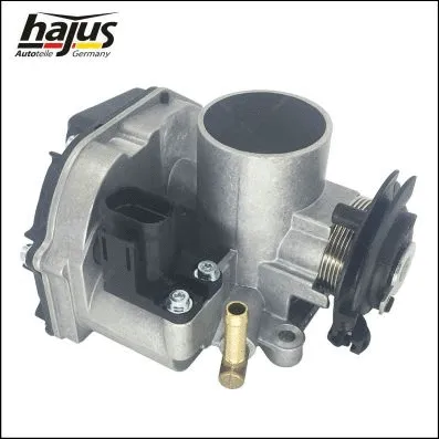 Throttle Body (1311062)
