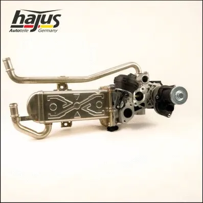 EGR Module (1311045)