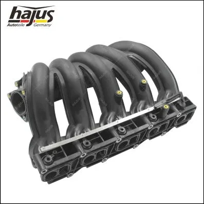 Intake Manifold Module (2511039)