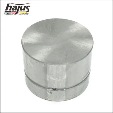 Valve Tappet Set (1151254)