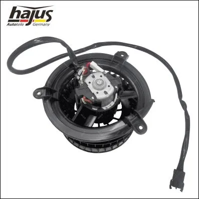 Interior Blower (8191089)
