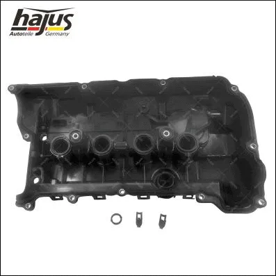 Cylinder Head Cover (1031041)