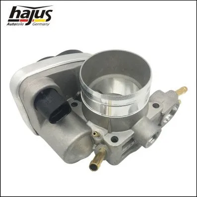 Throttle Body (1311090)