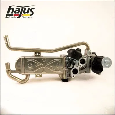 EGR Module (1311046)