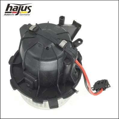 Interior Blower