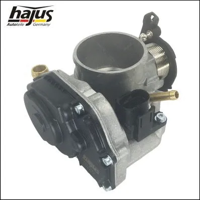 Throttle Body (1311065)