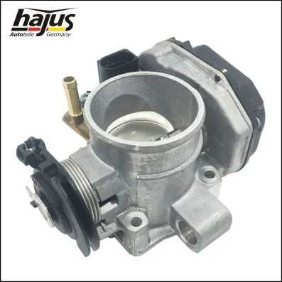 Throttle Body (1311082)