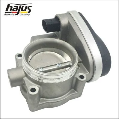 Throttle Body (1311093)