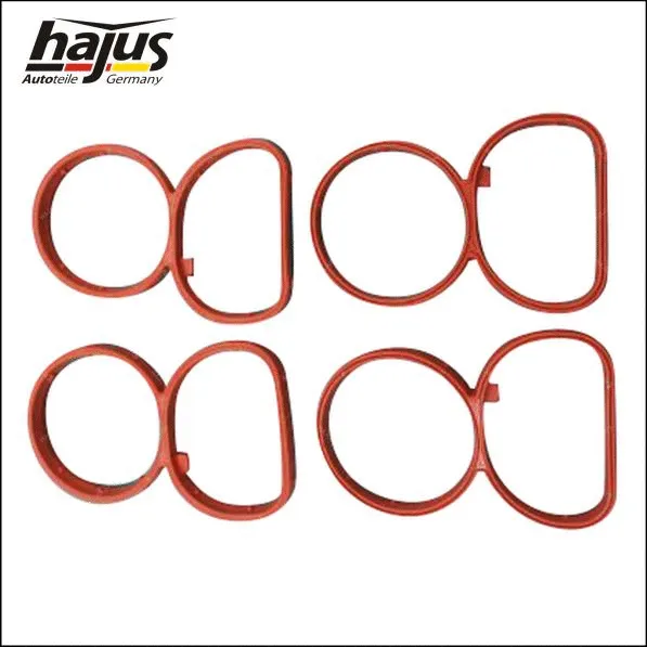 Gasket Set, intake manifold (2511050)