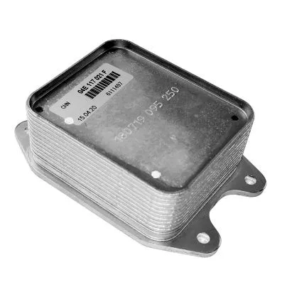 Oil Cooler, engine oil (1211395)